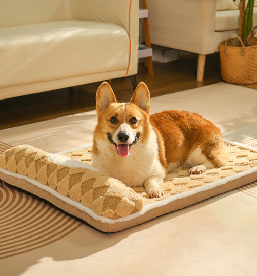Pet Care.