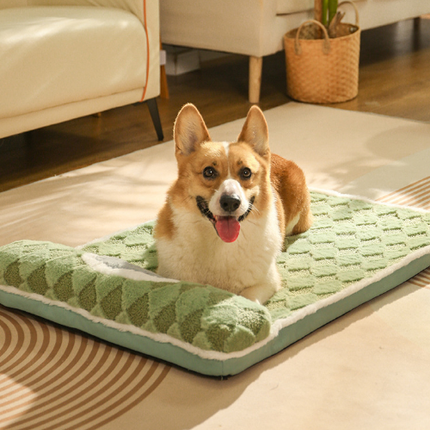 Pet Care.