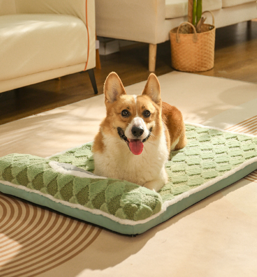 Pet Care.