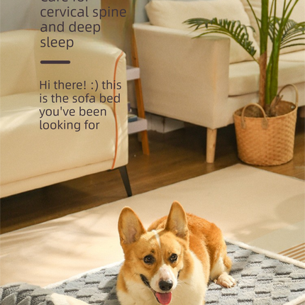 Pet Care.