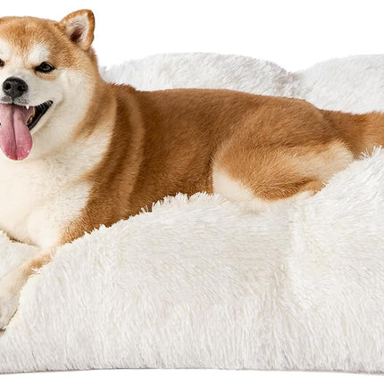 Pet Care Cartoz.