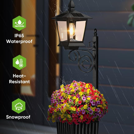 Home & Garden Cartoz.
