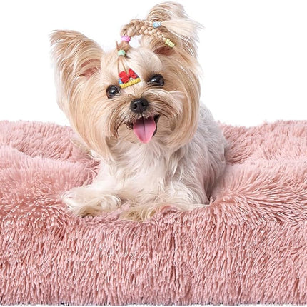 Pet Care.