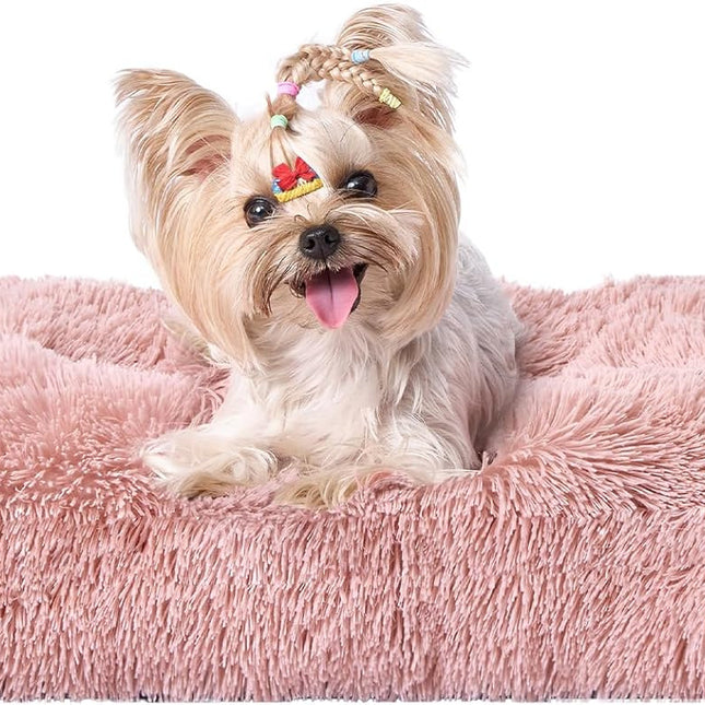 Pet Care.