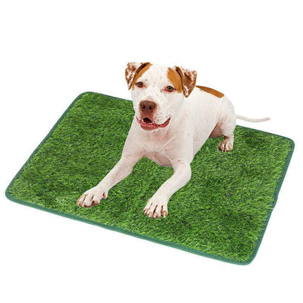 Pet Care.