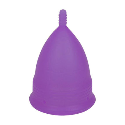 2PCS Reusable Medical Grade Silicone Menstrual Cup(L Size) & 2PCS Matching Sterilizer Box - Microwave Safe Disinfector Case, Heat Resistant 130°C (Purple Set).