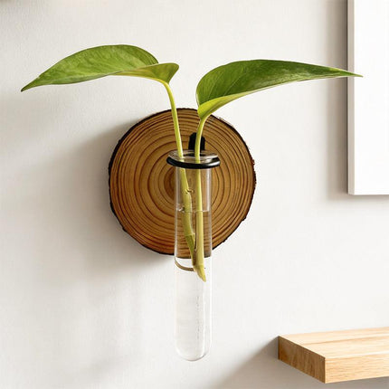 Wall-Mounted Hydroponic Plant Test TubeFlower Pot for Indoor Plants & Cuttings.