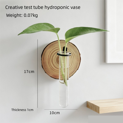 Wall-Mounted Hydroponic Plant Test TubeFlower Pot for Indoor Plants & Cuttings.