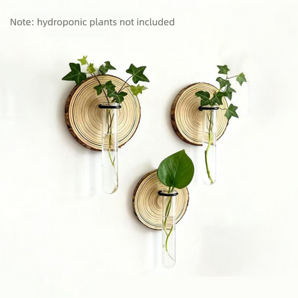 3-Pack Wall-Mounted Hydroponic Plant Test TubeFlower Pot for Indoor Plants & Cuttings.