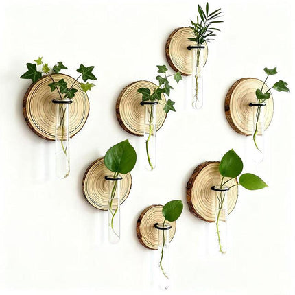 6-Pack Wall-Mounted Hydroponic Plant Test TubeFlower Pot for Indoor Plants & Cuttings.