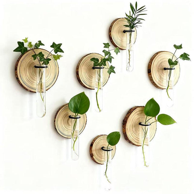 6-Pack Wall-Mounted Hydroponic Plant Test TubeFlower Pot for Indoor Plants & Cuttings.