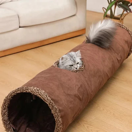 Pet Care Cartoz.