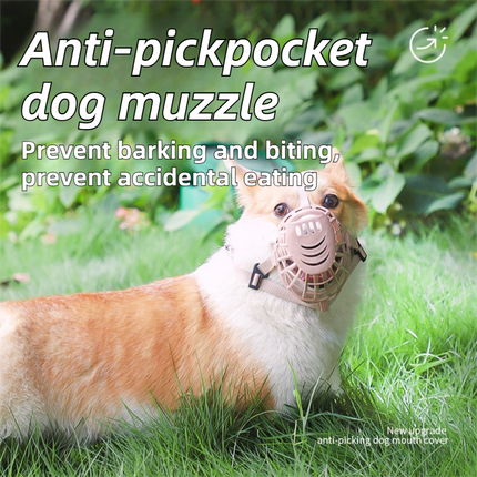 Pet Care Cartoz.
