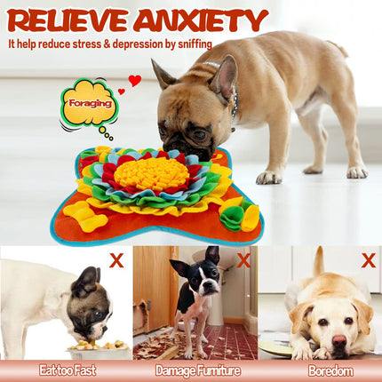 Pet Care Cartoz.