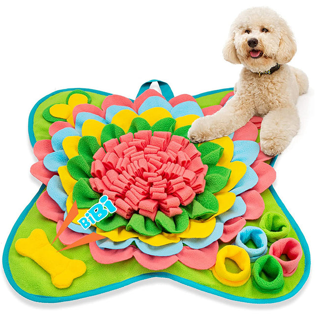 Pet Care.