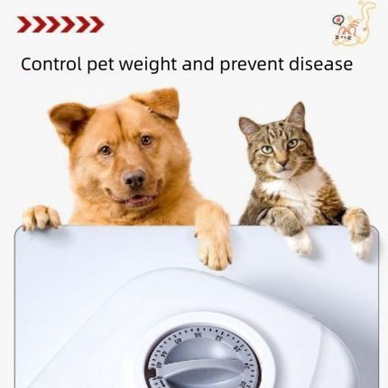 Grey Silent Automatic Pet Double Meal Dispenser with Rotary Buckle - Longest 48H Scheduled and Long Battery Life, Detachable for Easy Cleaning.