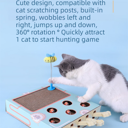 Pet Care Cartoz.