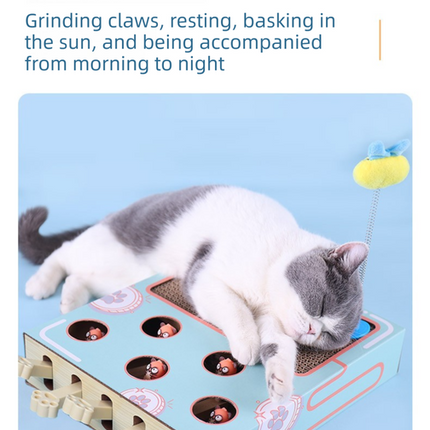 Pet Care Cartoz.