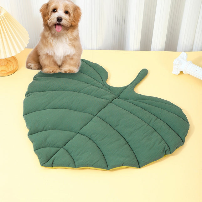 Pet Care.