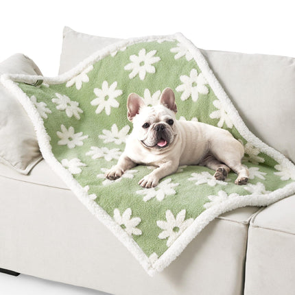 Pet Care Cartoz.
