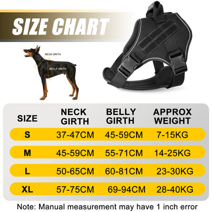 Pet Care Cartoz.