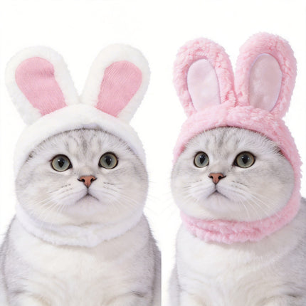 Pet Care Cartoz.