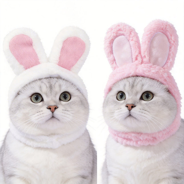 Pet Care.