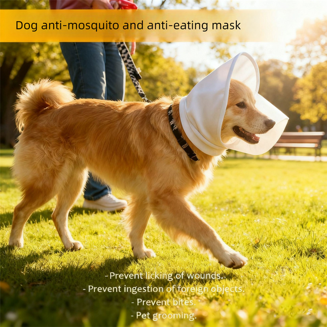 Pet Care.