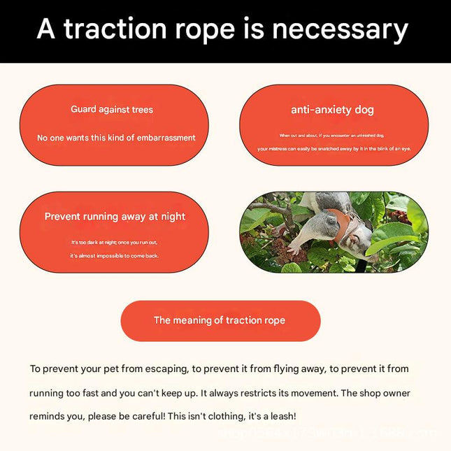 2-Pack Orange Small Mammal Harness Set – 6 Pcs (S/M/L ×2) + 2×1.5m Leashes for Secure Outdoor Handling.