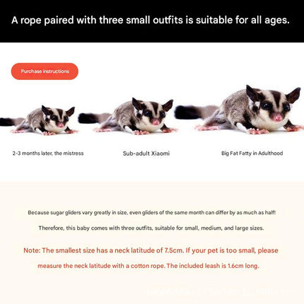 Pet Care Cartoz.