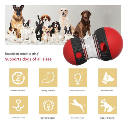 Pet Care Cartoz.