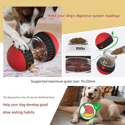 Pet Care Cartoz.