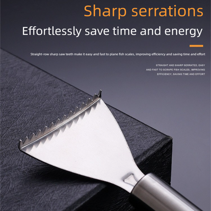Set of 5 Stainless Steel Fish Scale Removers – Food-Grade Heavy-Duty Fish Scaler Tools with Comfort Grip & Hanging Loop, for Fine & Coarse Scales, Kitchen Essential.