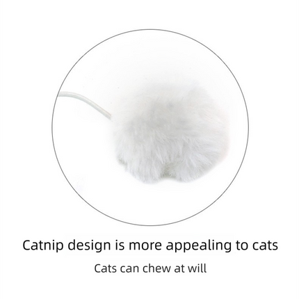 Pet Care.