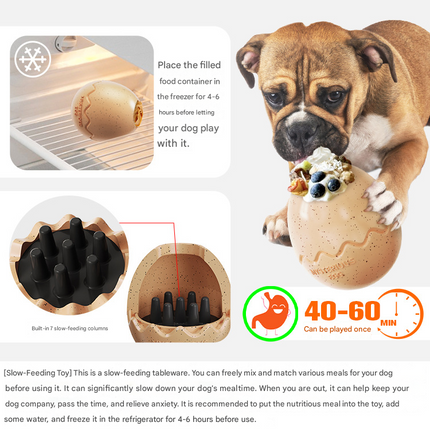 Pet Care Cartoz.