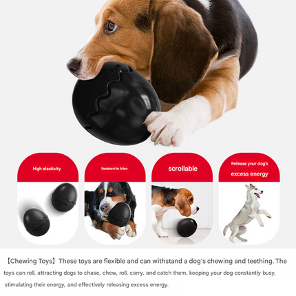 Pet Care Cartoz.