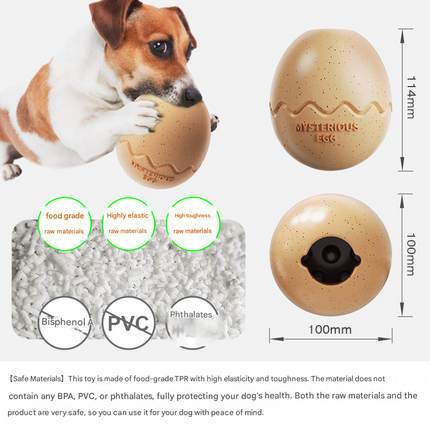 Pet Care Cartoz.