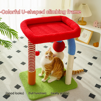 Pet Care Cartoz.