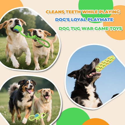 Pet Care Cartoz.