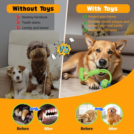 Pet Care Cartoz.