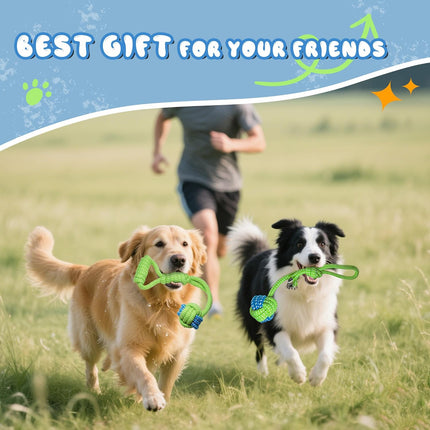 Pet Care Cartoz.