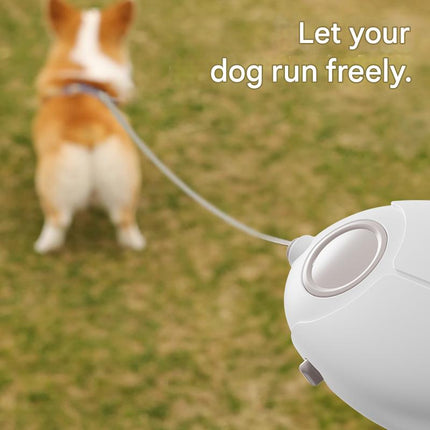 Pink Retractable Dog Leash with Luminous Rope 3M Anti-Tangle Automatic Extension Pet Walking Rope for Small to Medium Dogs Comfortable Grip and Lightweight Wrist Strap for Night Walks.