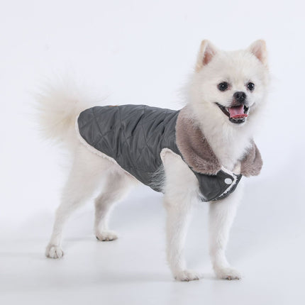 Pet Care Cartoz.