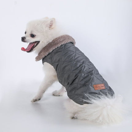 Pet Care Cartoz.