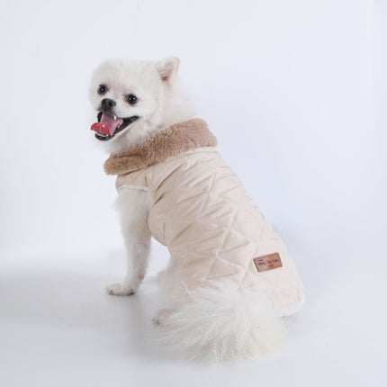 Pet Care Cartoz.
