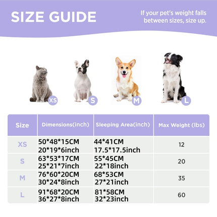 Pet Care Cartoz.