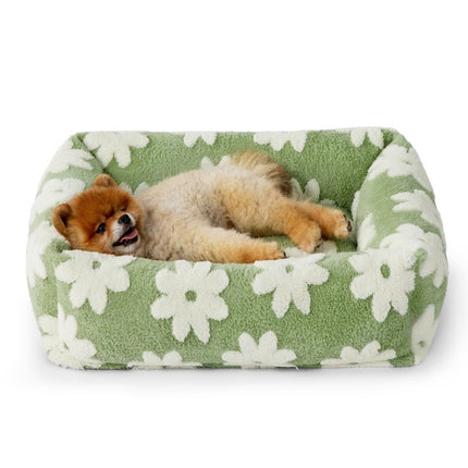 Pet Care Cartoz.