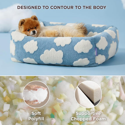 Pet Care Cartoz.