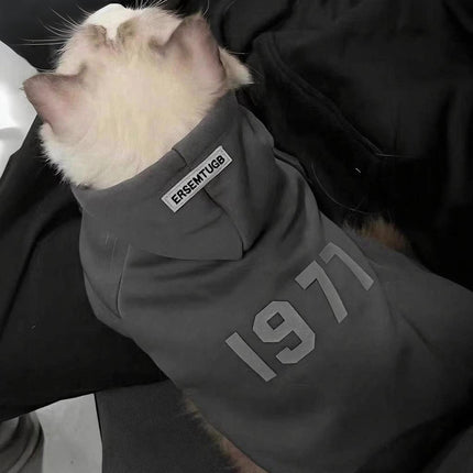 2-Pack XL sizeTrendy Pet Hoodie with "1977" Print - Warm Winter Wear for Cats and Small Dogs - with Plush Lining -   Beige and Dark Grey.