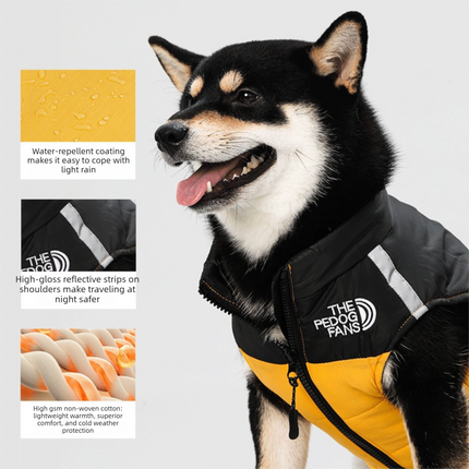 Pet Care Cartoz.
